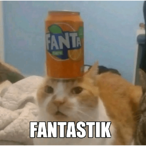 Sticker kucing meme 2