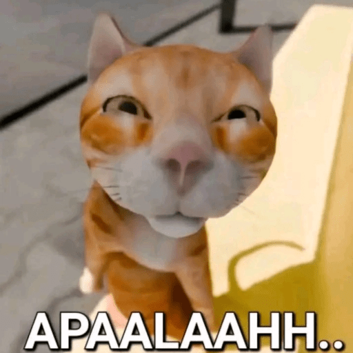 Kucing Oyen Pelontos 🐱 15