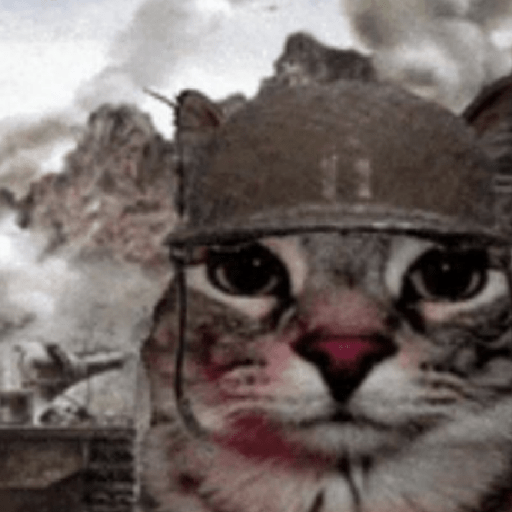 Hachimi kucing meme 6