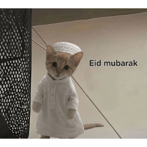Meme hari raya 5