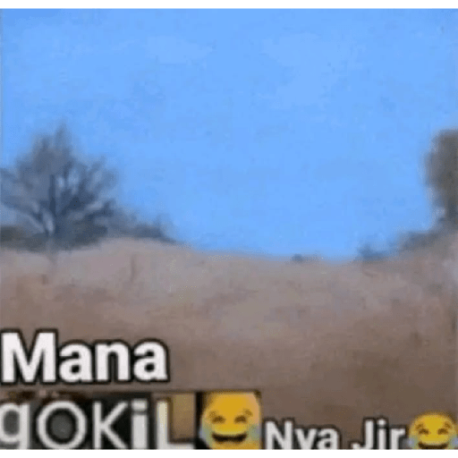 Meme singa gokil 15