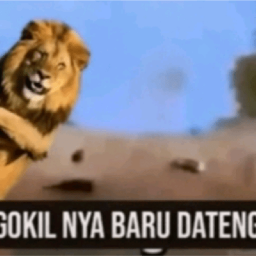 Singa gokil meme 11