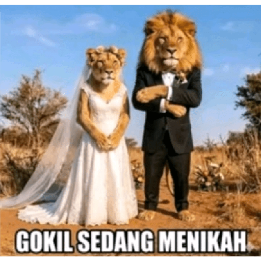 GOKIL new 8