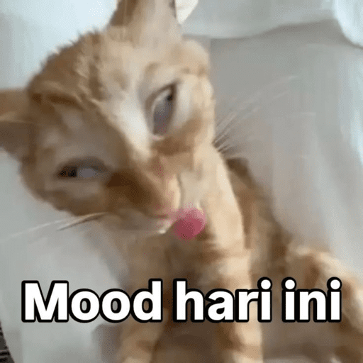 MEME KUCING 4