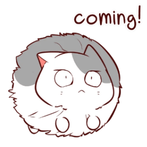 Kucing gemoy #6 15