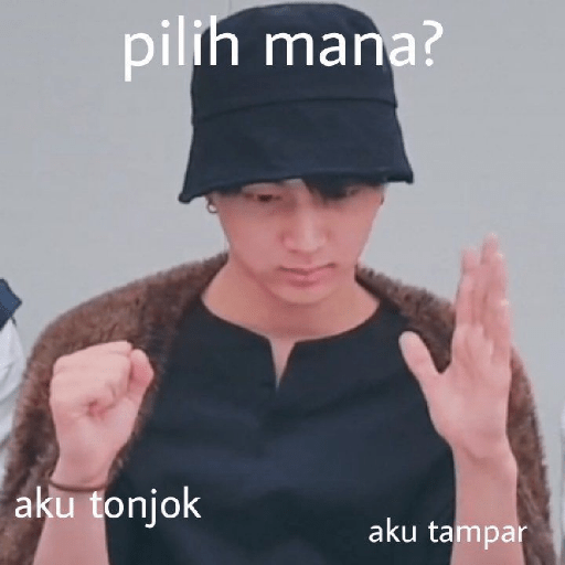 MEME 13