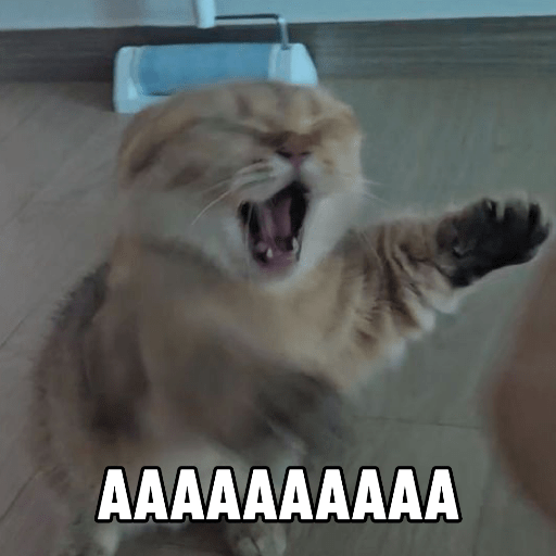 Meme Kucing 🐈 10