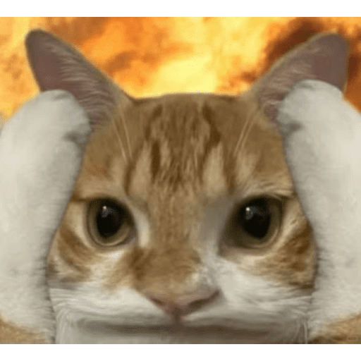 MEME KUCING BARU 2026🐱 7
