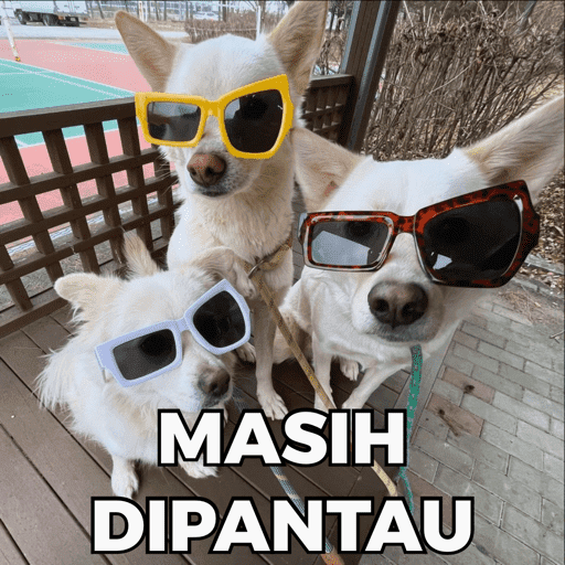 CATS AND DOGS MEME 13