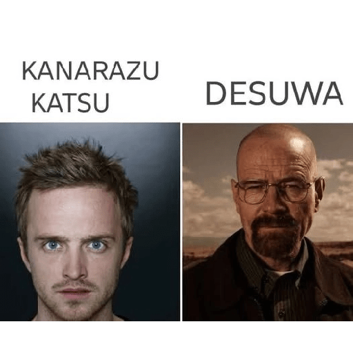 Kanarazu katsu 12