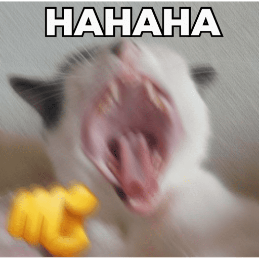 CATS AND DOGS MEME 4