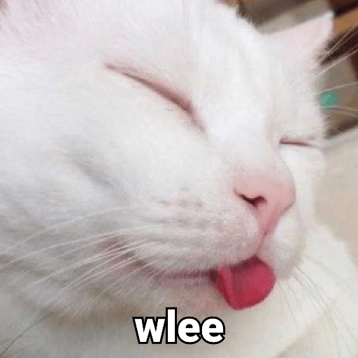 Meme Kucing Gemoy 😸✨ 10
