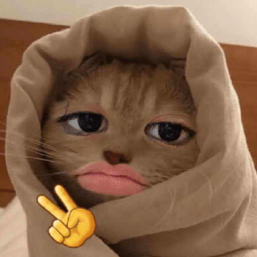 Meme Kucing Gemoy 😸✨ 1