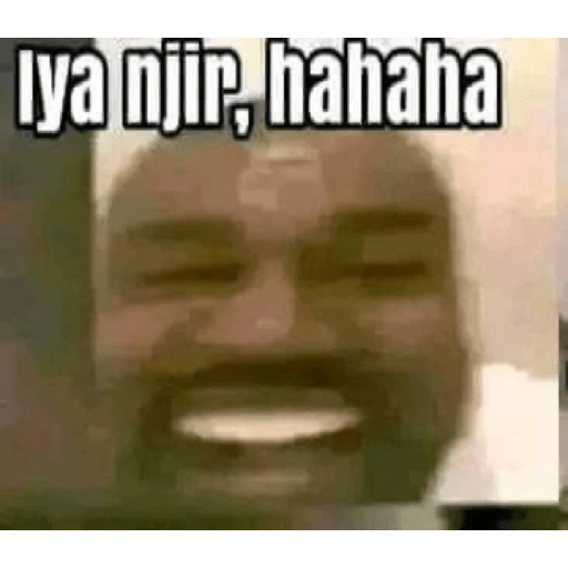 Meme 11