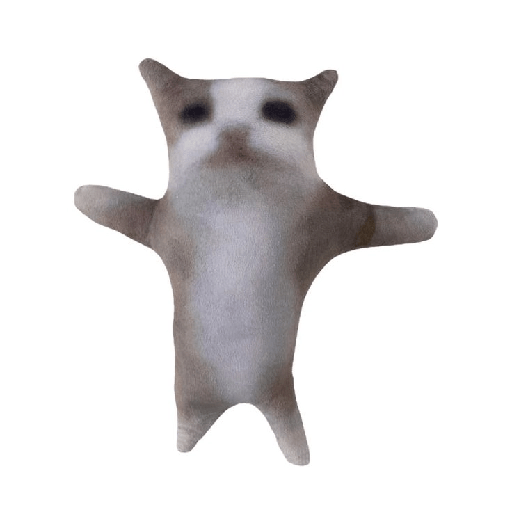 KUCING IMUT  14