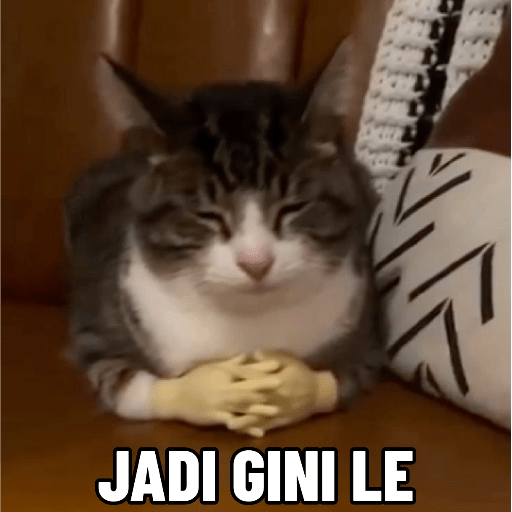 Kucing meme 5