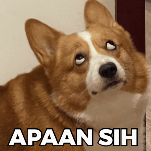 CATS AND DOGS MEME 3