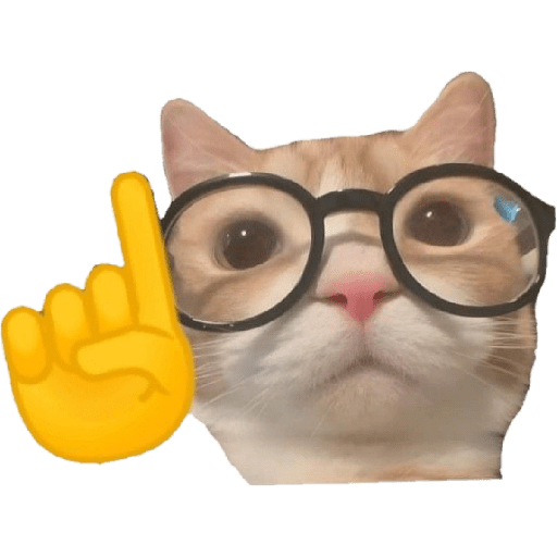 Kucing meme emoji🔥 7