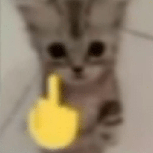 Kucing meme emoji🔥 2