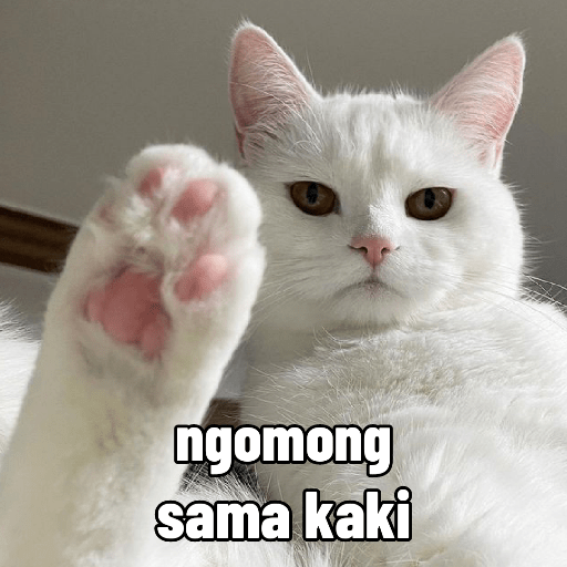 Meme Kucing Gemoy 😸✨ 11