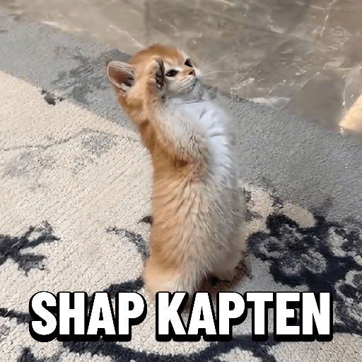 Meme kucing lucu 5