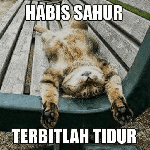 MEME SAHUR 2026 10