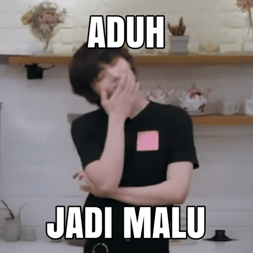MEME CORTIS 14
