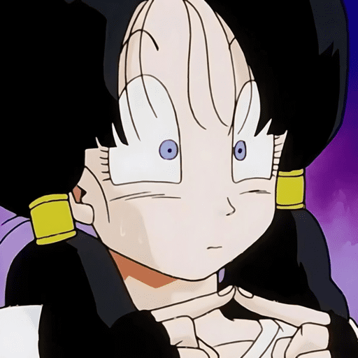 Videl / Dragon ball 4