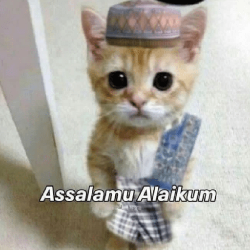 KUCING 1