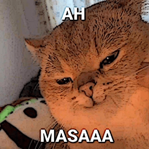 MEME KUCING 14