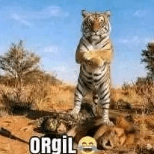 Meme gokil 15