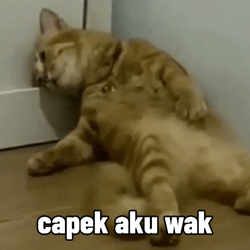 Meme Kucing Gemoy 😸✨ 7