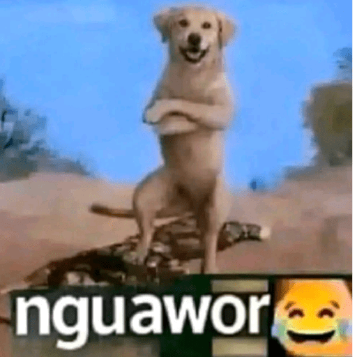 Meme gokil 14