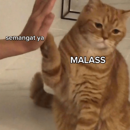 Meme kucing lucu 21