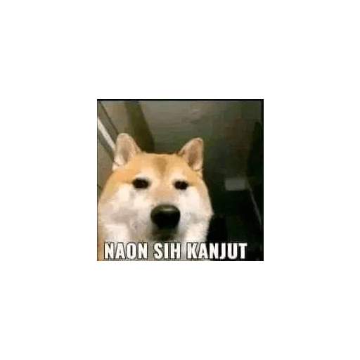 Balasan buat hate comment 7