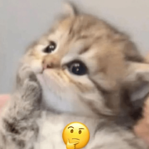 Meme kucing lucu 20