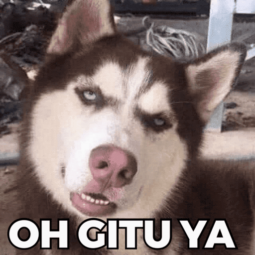 CATS AND DOGS MEME 10