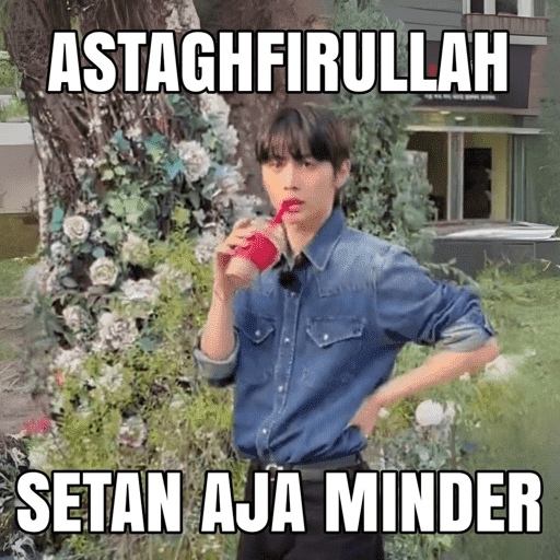MEME CORTIS 12