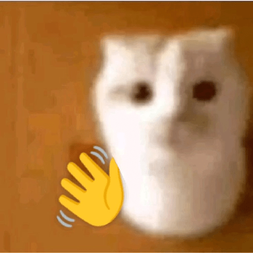 KUCING IMUT  24