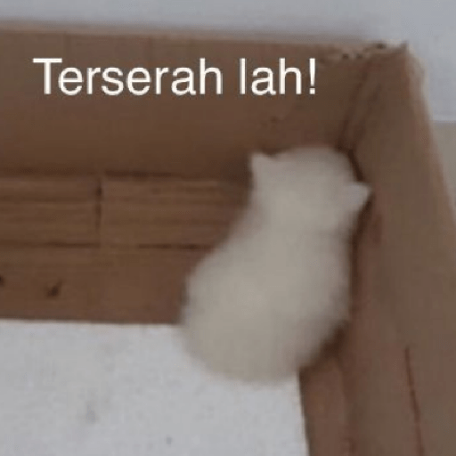 Stiker meme anomali lucu 3