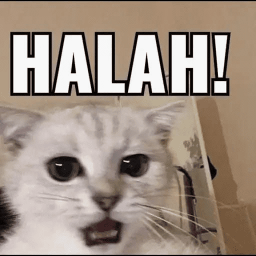 CATS AND DOGS MEME 1