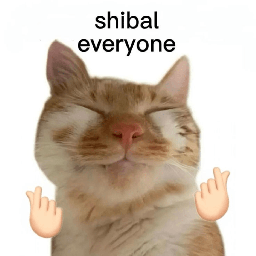 Kucing meme emoji🔥 1