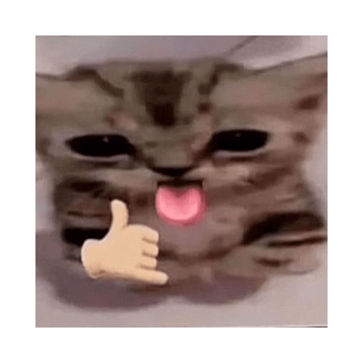 KUCING IMUT  7