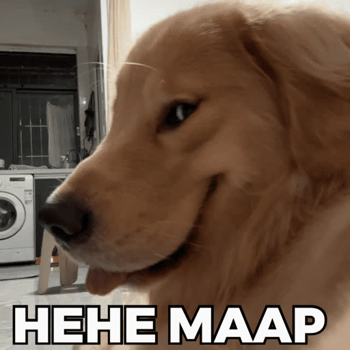 CATS AND DOGS MEME 6