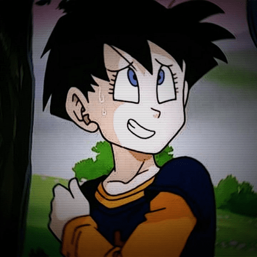 Videl / Dragon ball 5