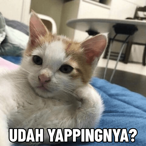 Kucing meme 1