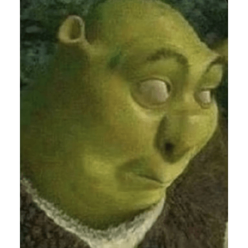 Meme 13
