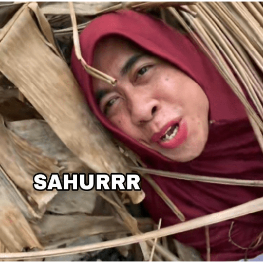 Sahur/puasa meme 12