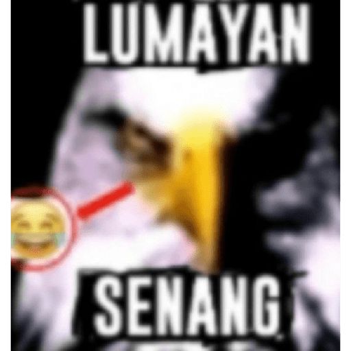 Meme 7