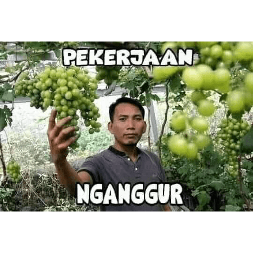 Humor receh 14